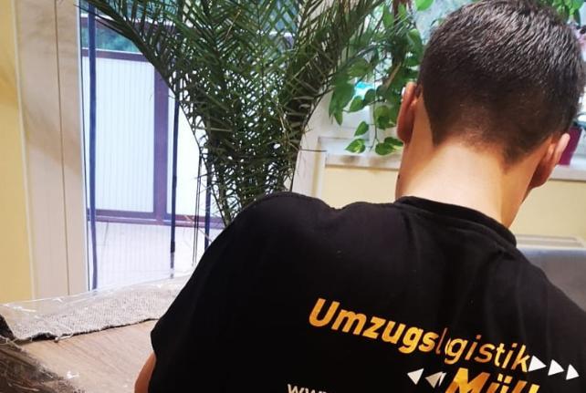 Preise für Ihren Studentenumzug in Reinsberg